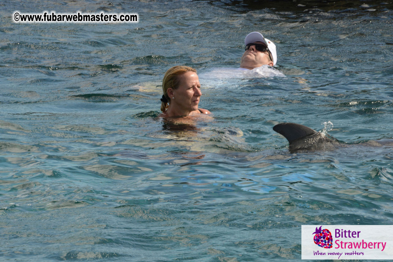 WireCard Dolphin Swim