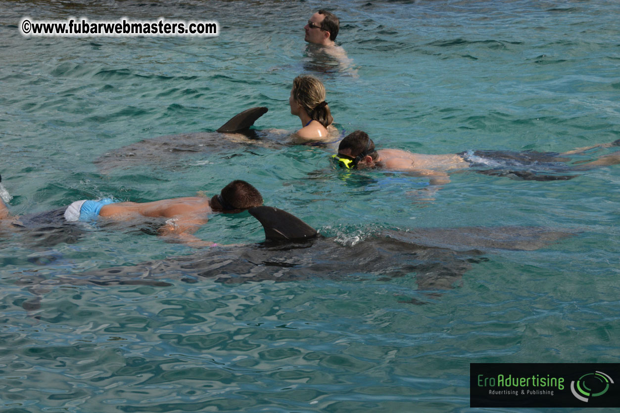 WireCard Dolphin Swim