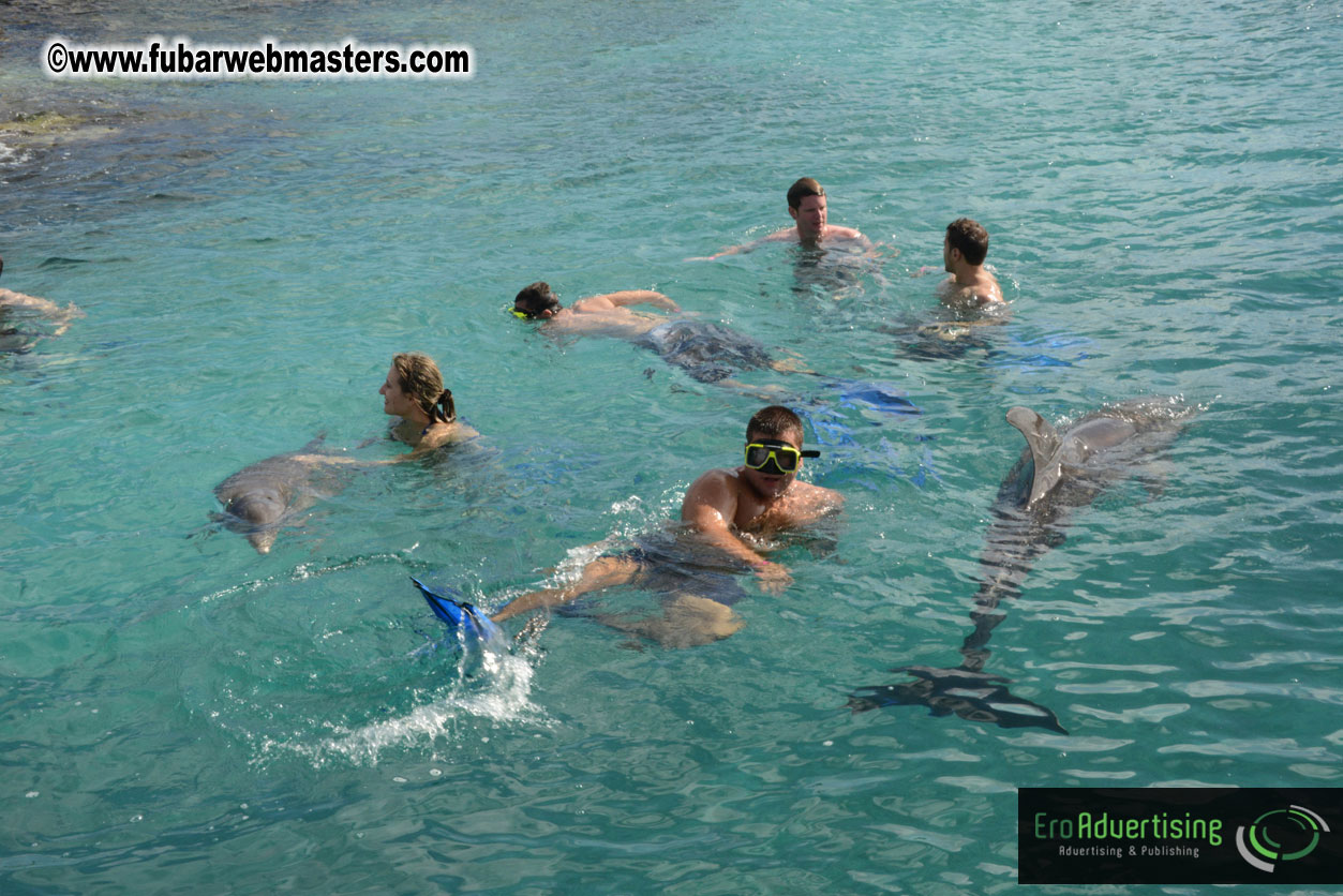 WireCard Dolphin Swim