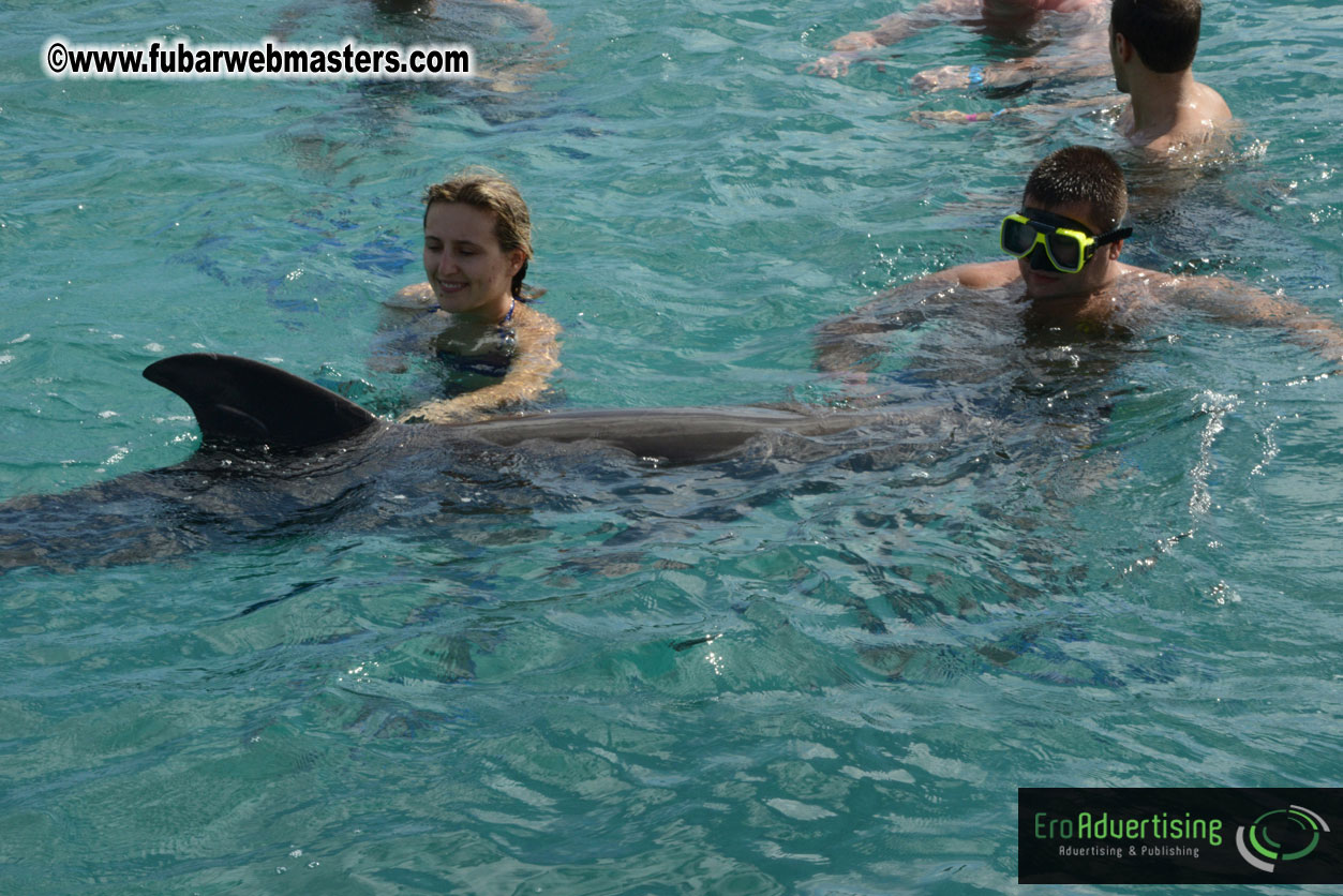 WireCard Dolphin Swim
