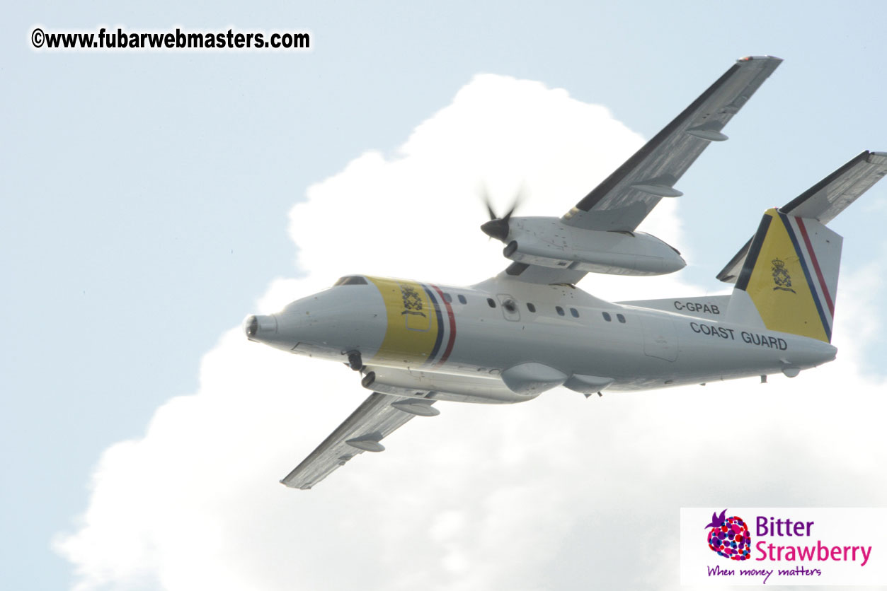 WireCard Dolphin Swim