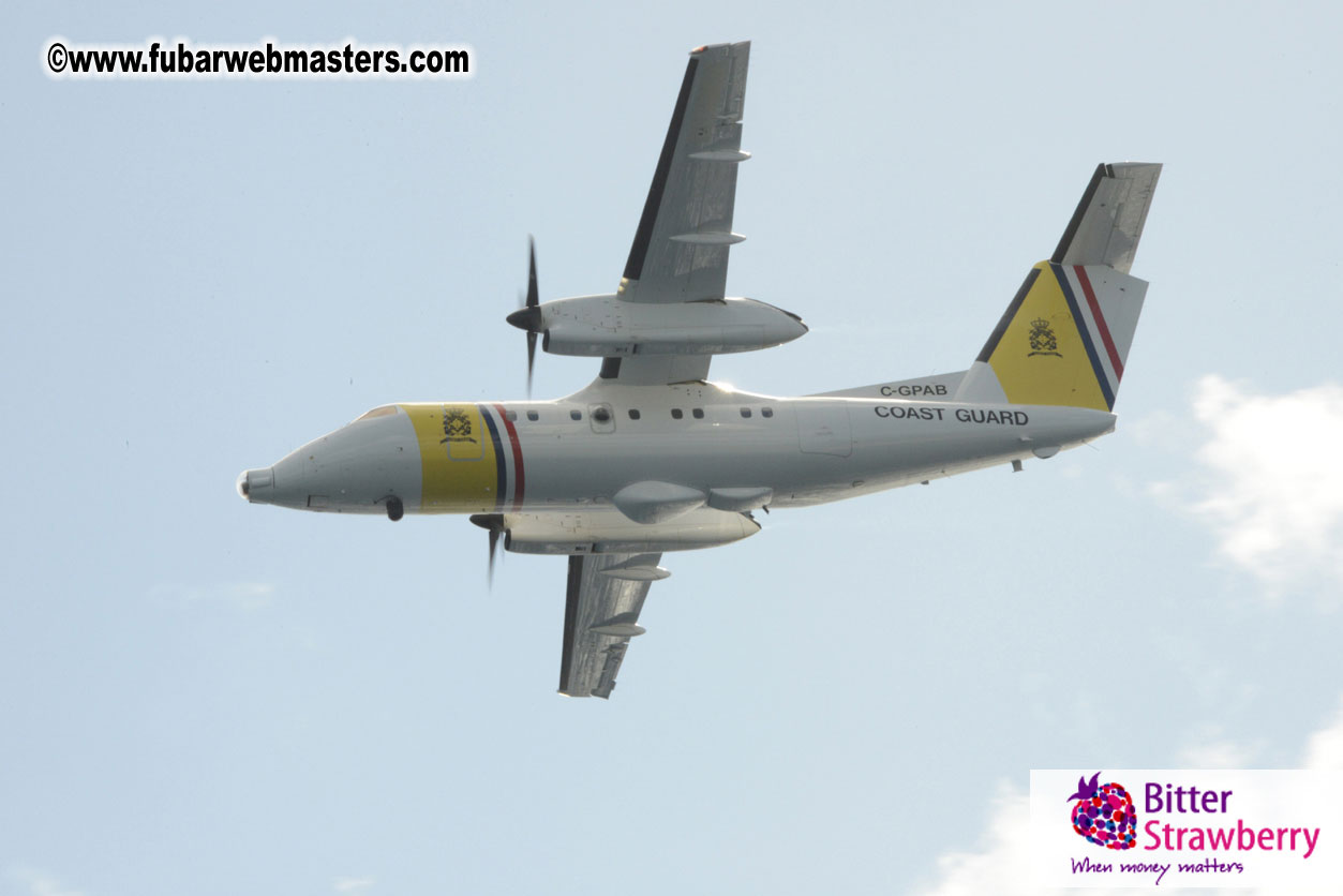 WireCard Dolphin Swim