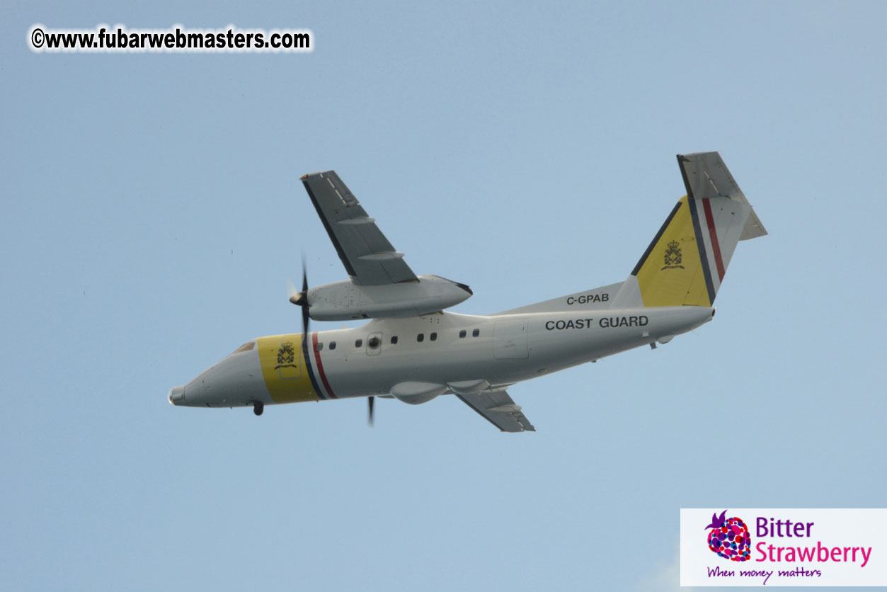 WireCard Dolphin Swim