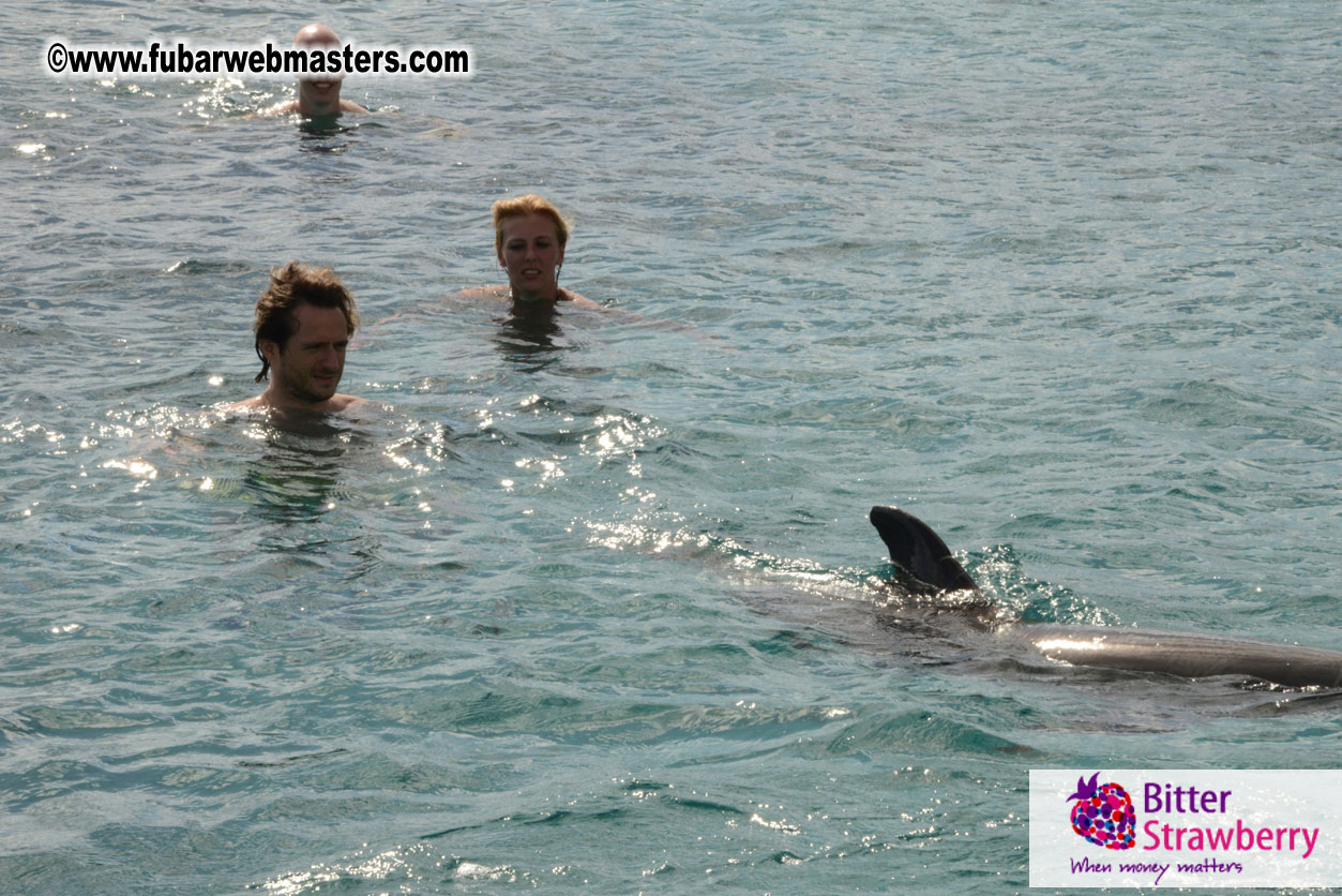 WireCard Dolphin Swim