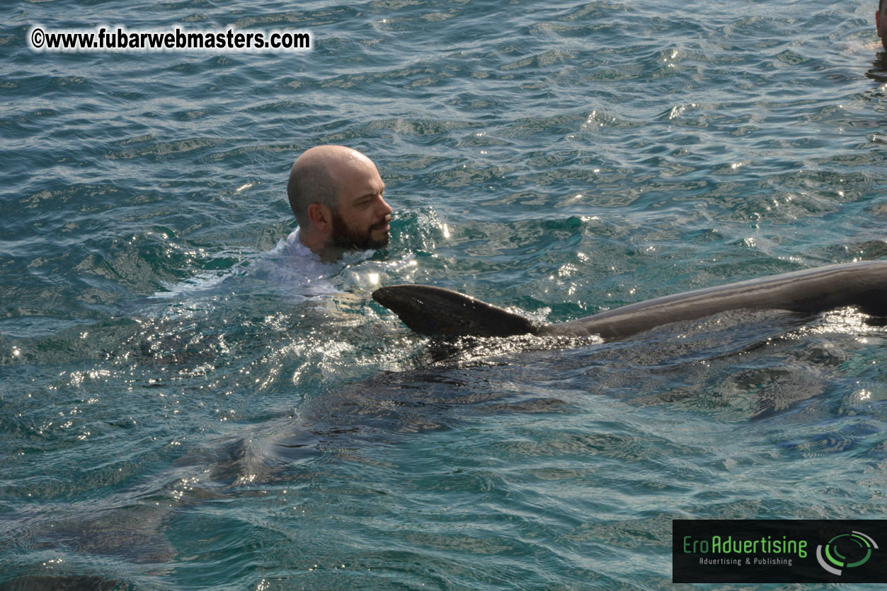 WireCard Dolphin Swim