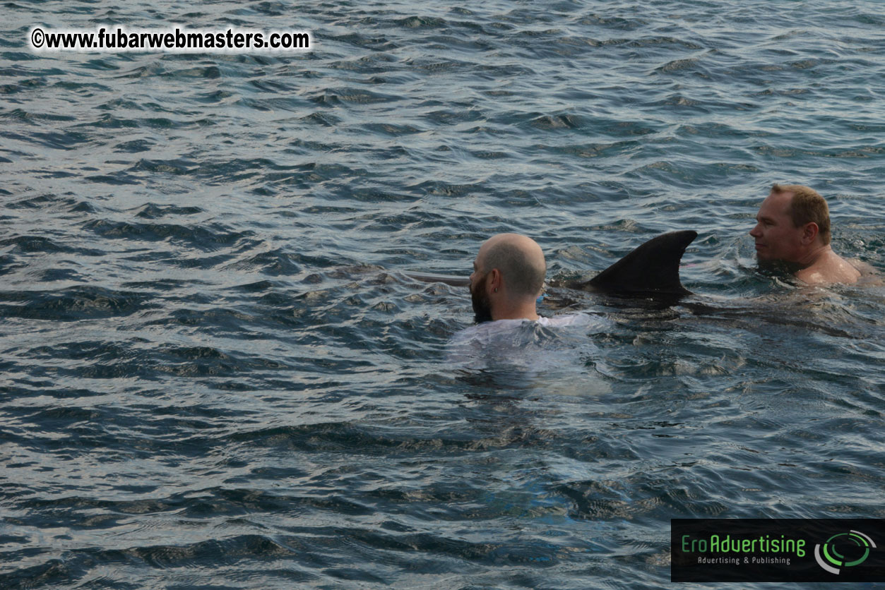 WireCard Dolphin Swim