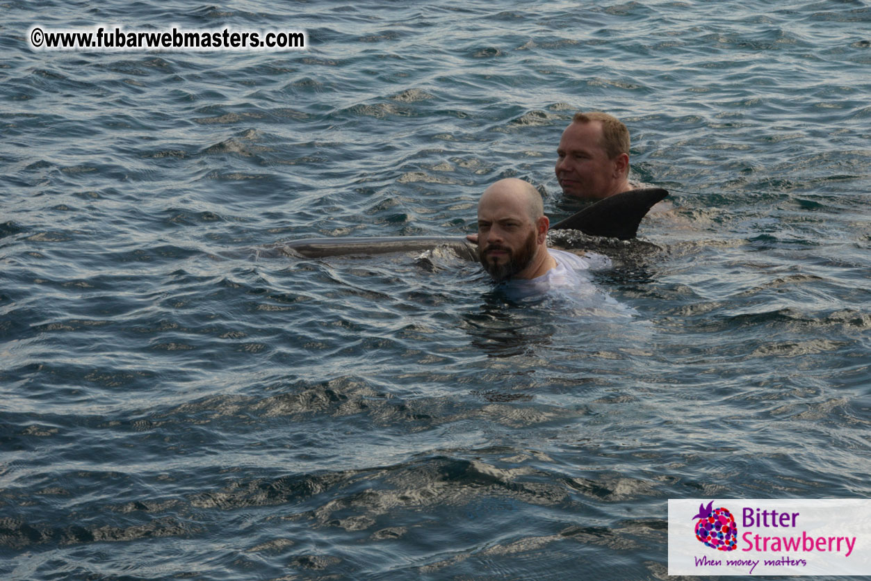 WireCard Dolphin Swim