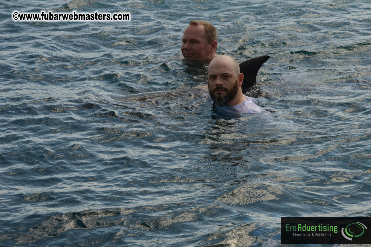 WireCard Dolphin Swim