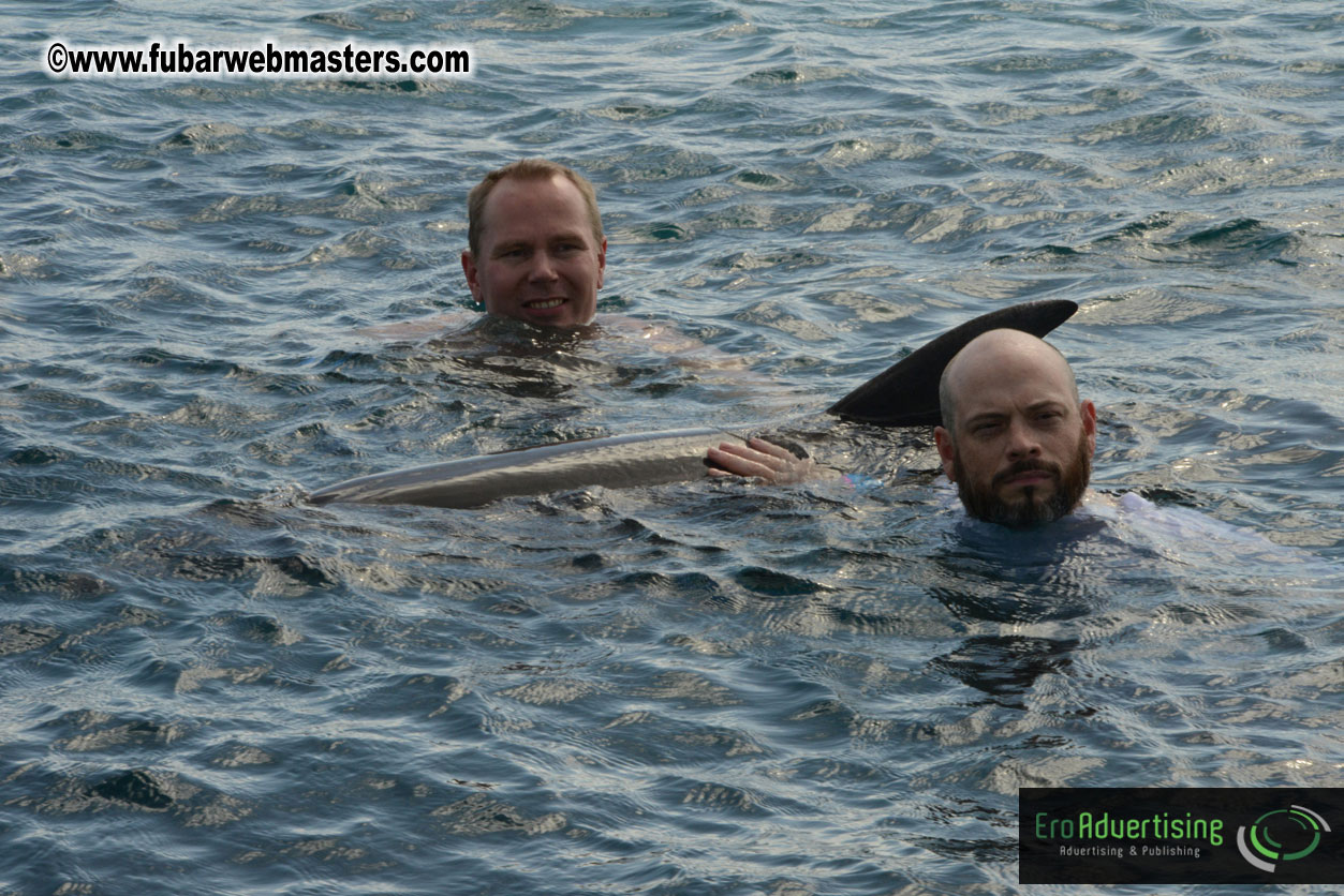 WireCard Dolphin Swim