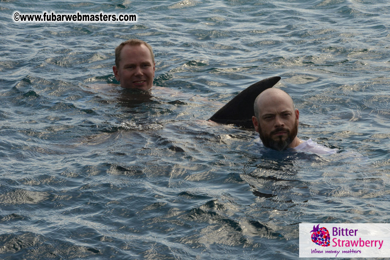 WireCard Dolphin Swim