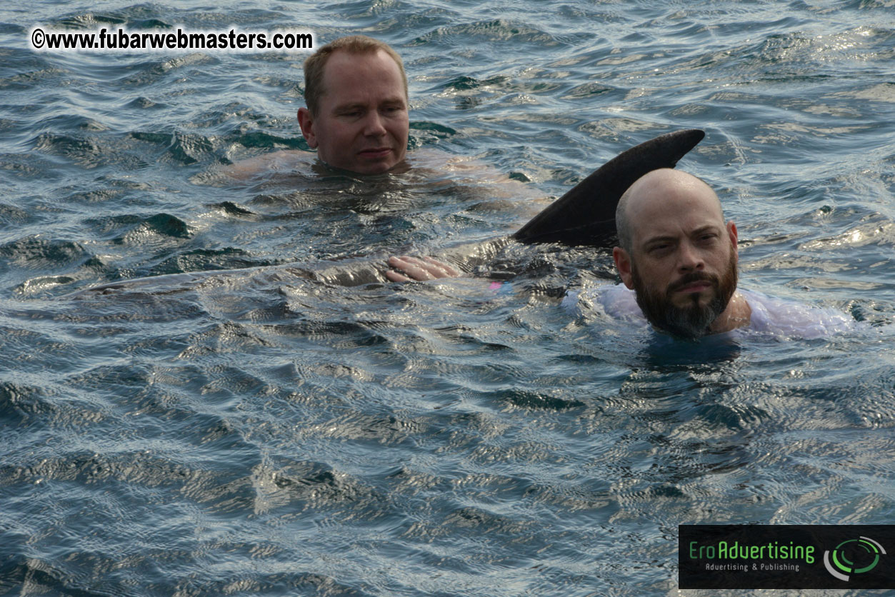 WireCard Dolphin Swim