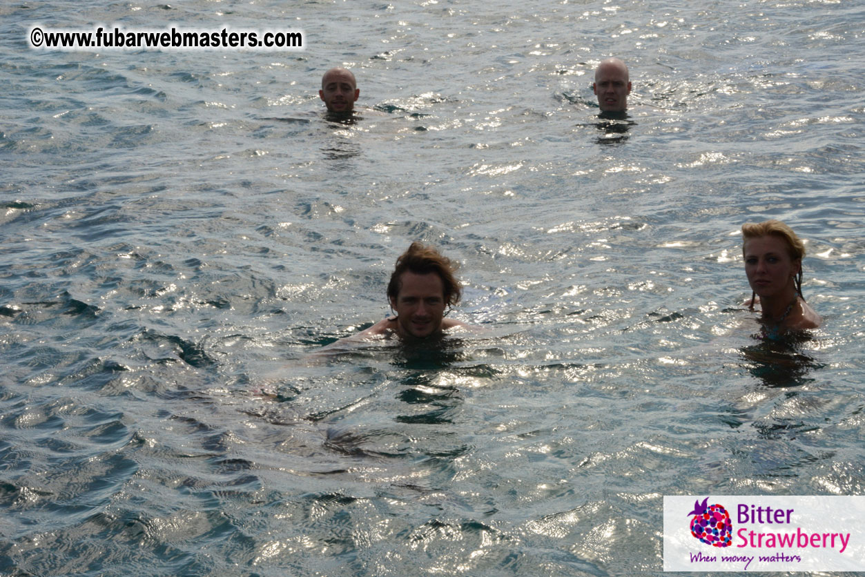 WireCard Dolphin Swim