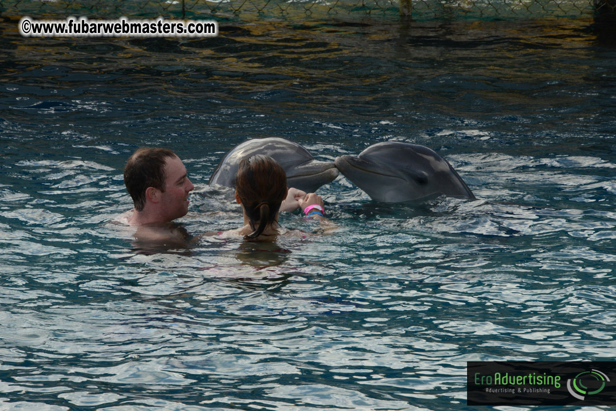 WireCard Dolphin Swim