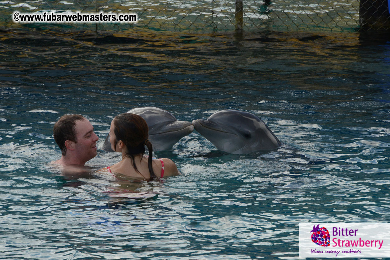 WireCard Dolphin Swim