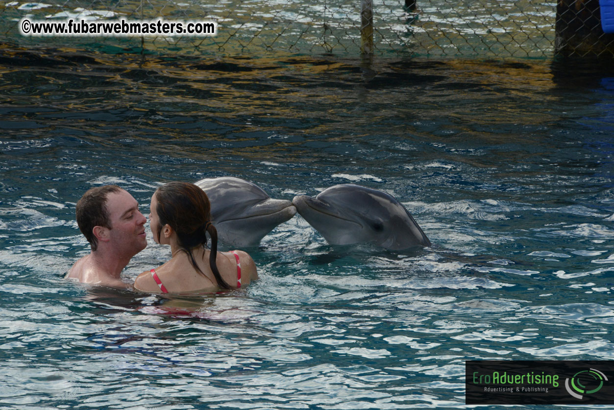 WireCard Dolphin Swim