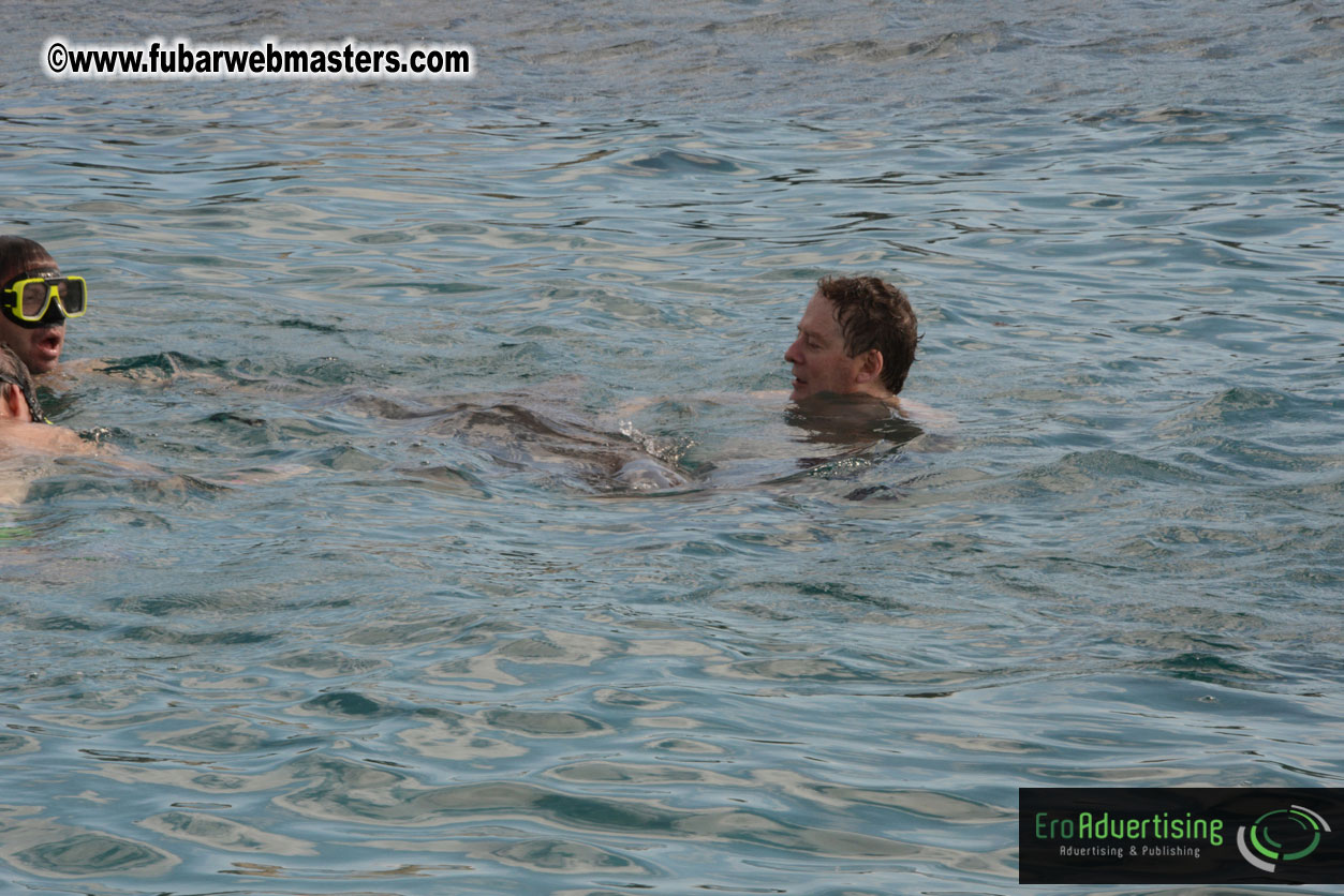 WireCard Dolphin Swim