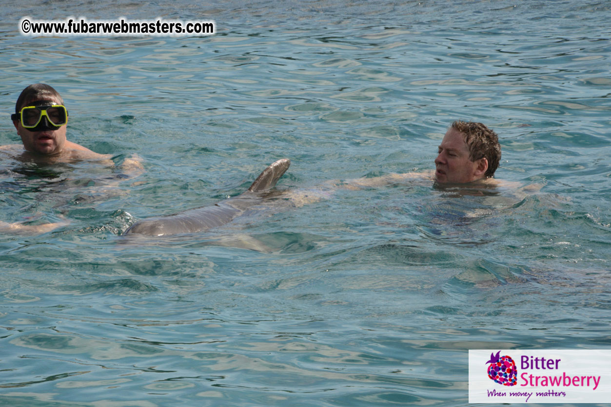 WireCard Dolphin Swim