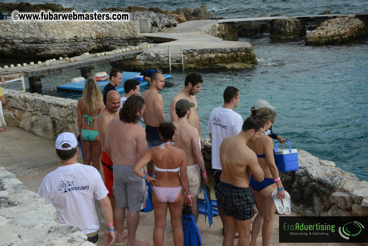 WireCard Dolphin Swim