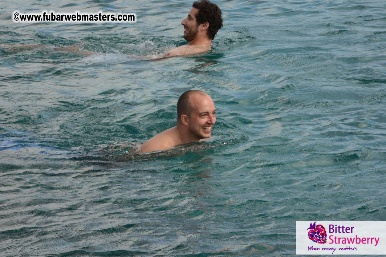 WireCard Dolphin Swim