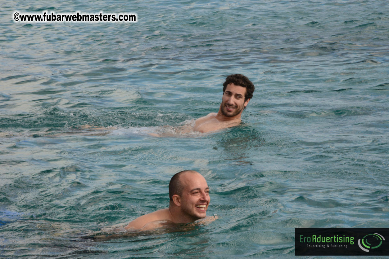 WireCard Dolphin Swim