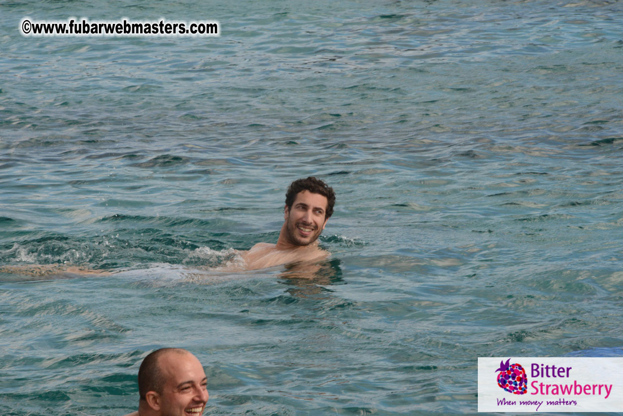 WireCard Dolphin Swim