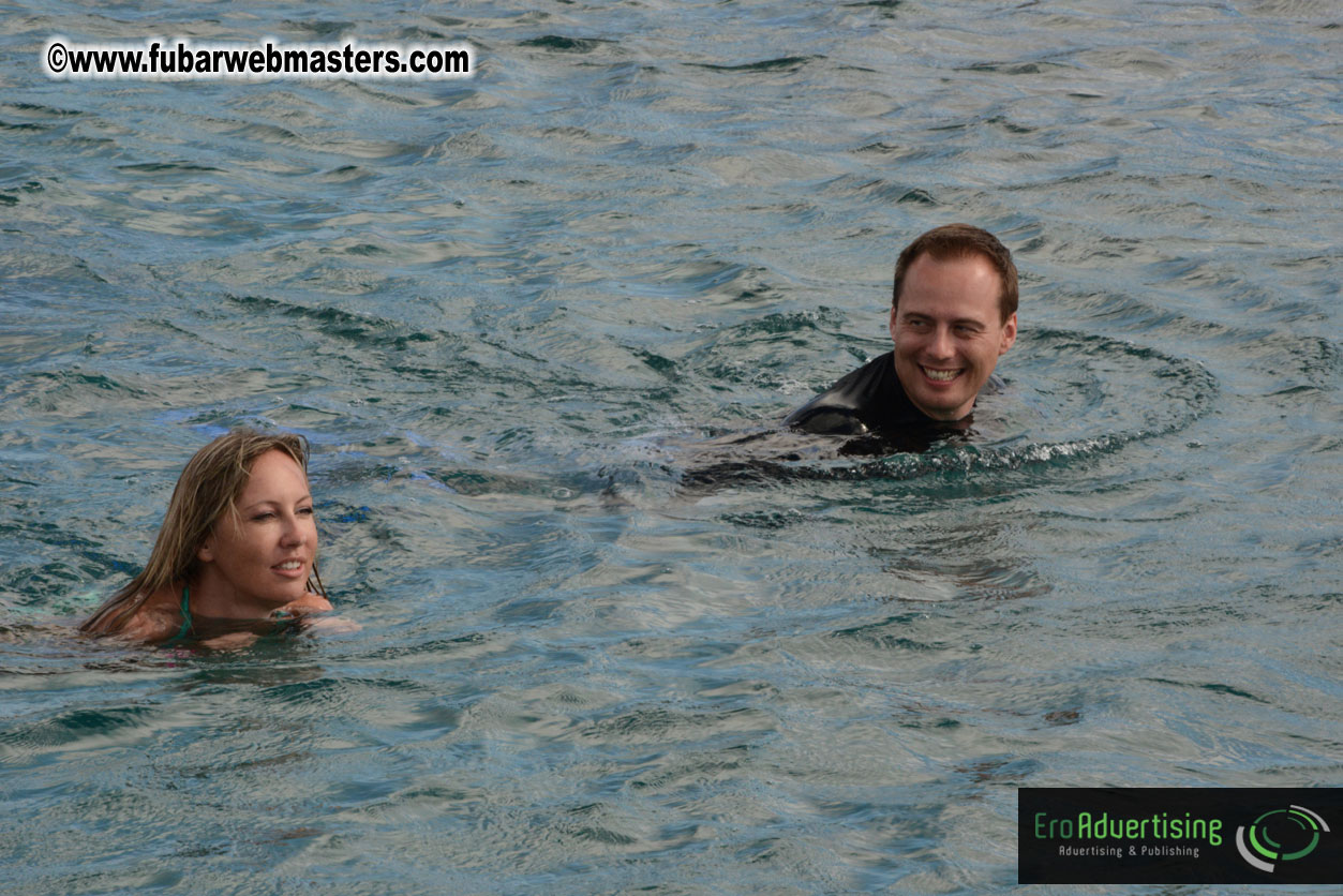 WireCard Dolphin Swim