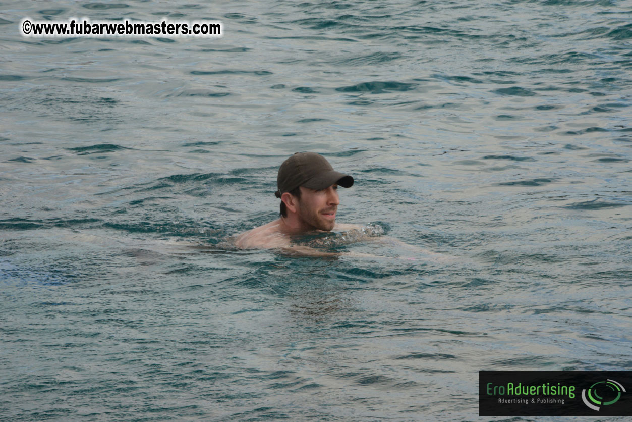 WireCard Dolphin Swim