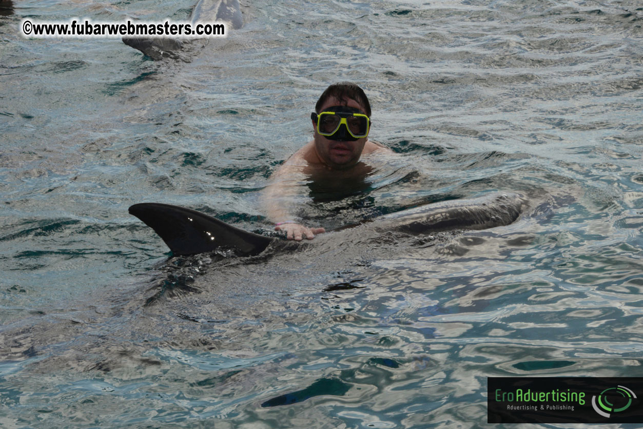 WireCard Dolphin Swim