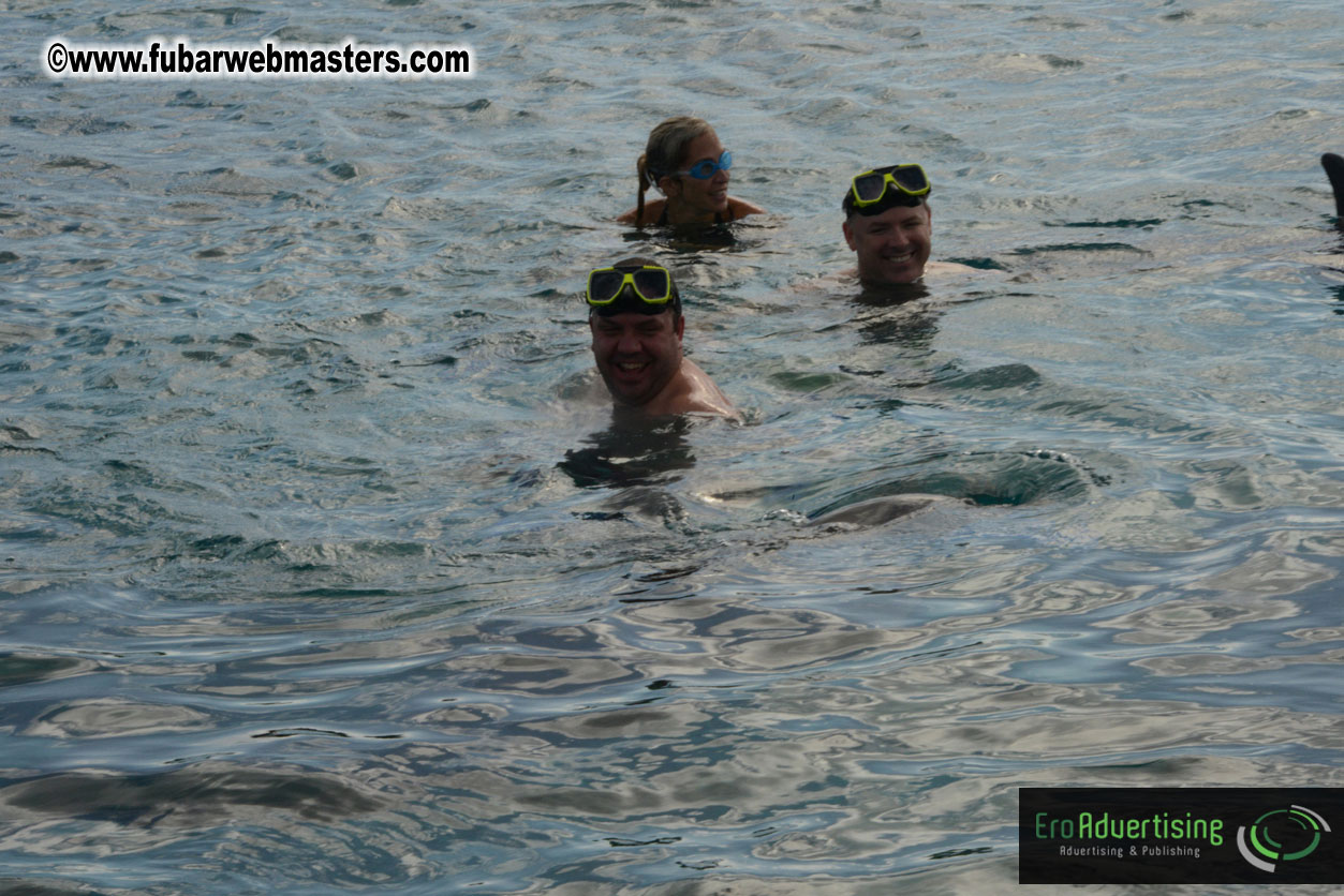 WireCard Dolphin Swim