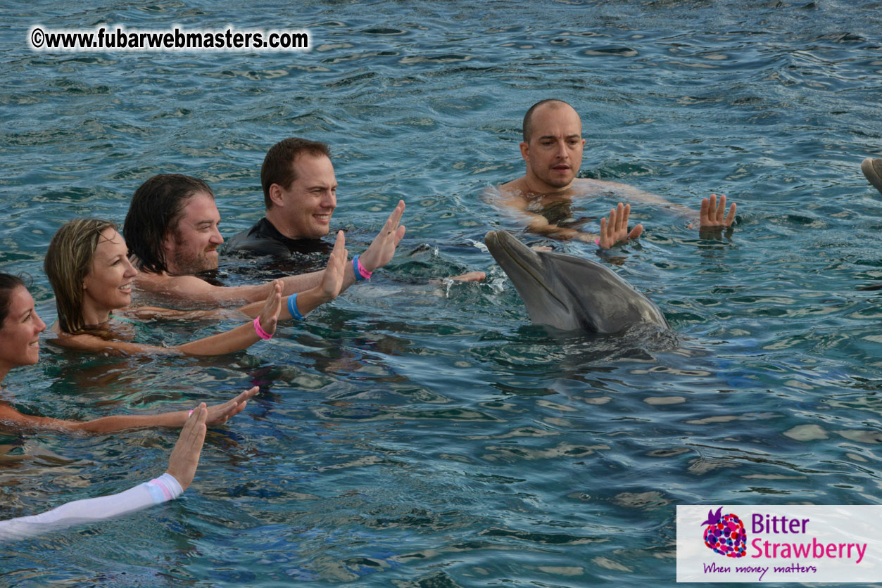 WireCard Dolphin Swim