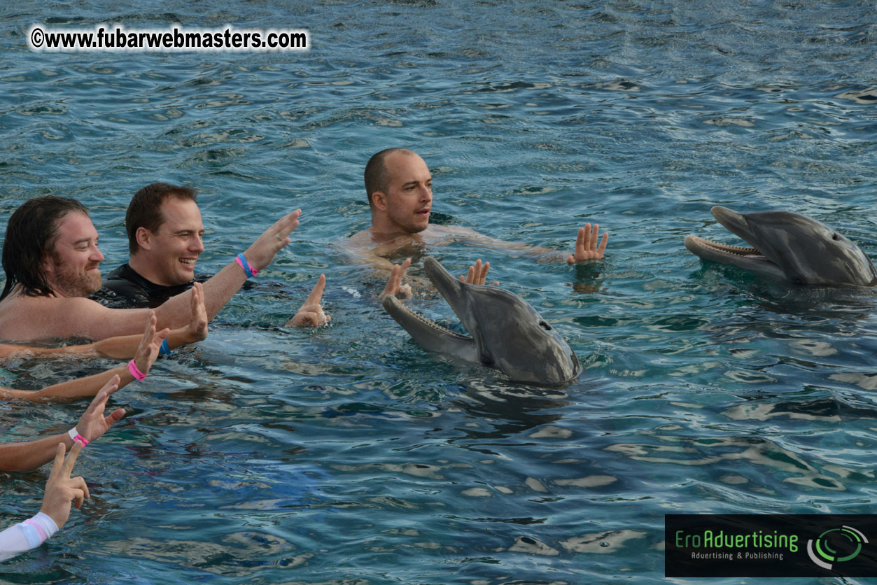 WireCard Dolphin Swim