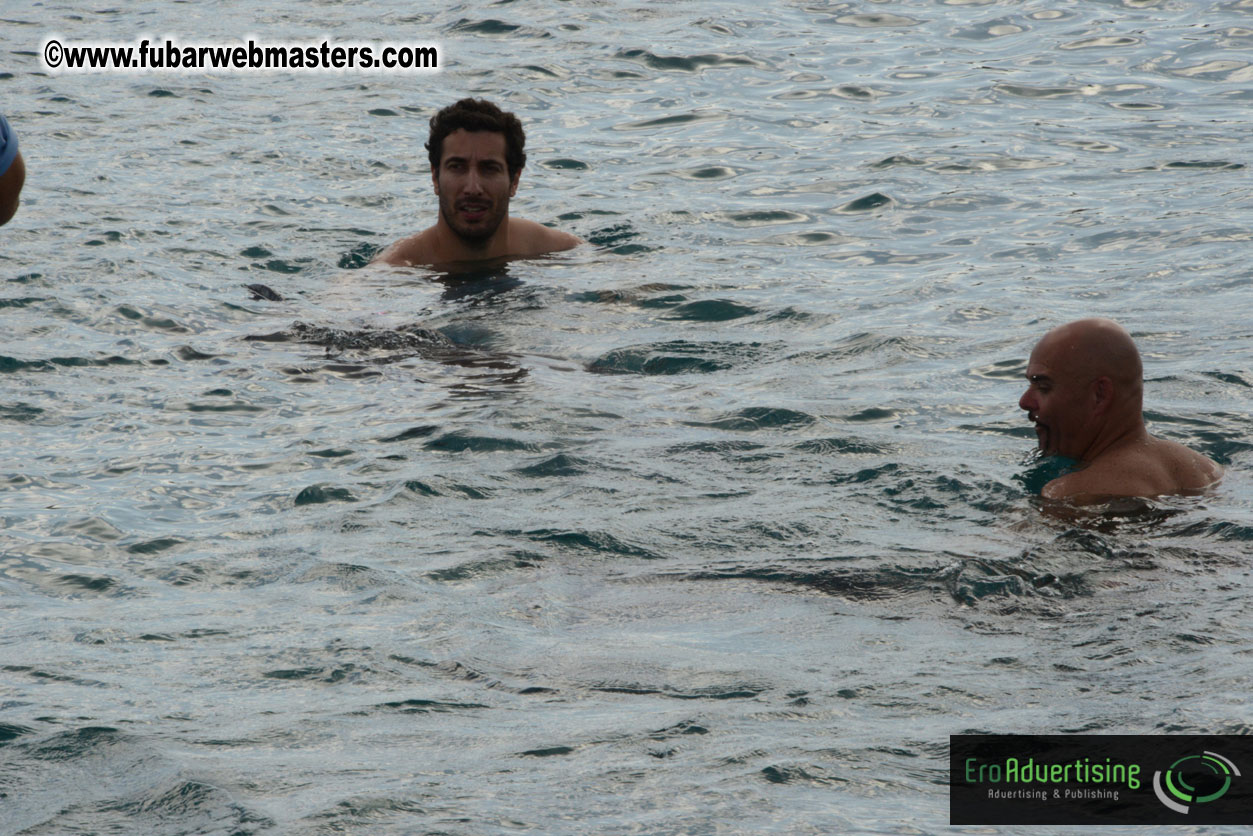 WireCard Dolphin Swim