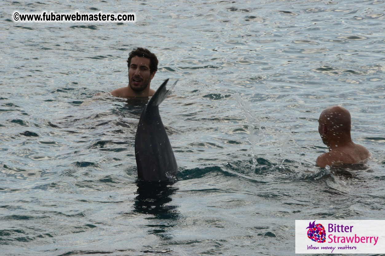 WireCard Dolphin Swim