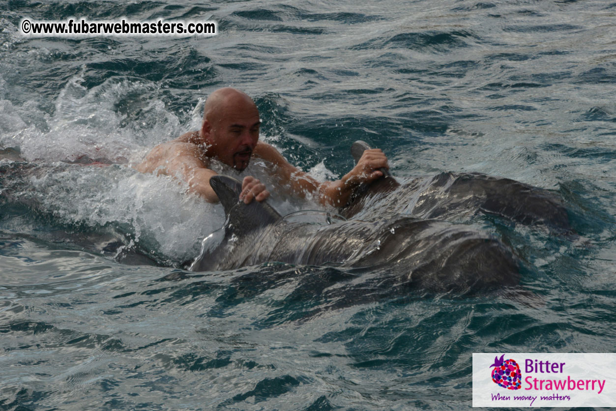 WireCard Dolphin Swim