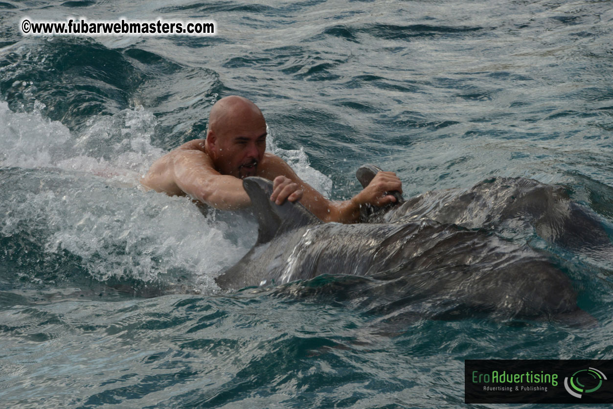 WireCard Dolphin Swim