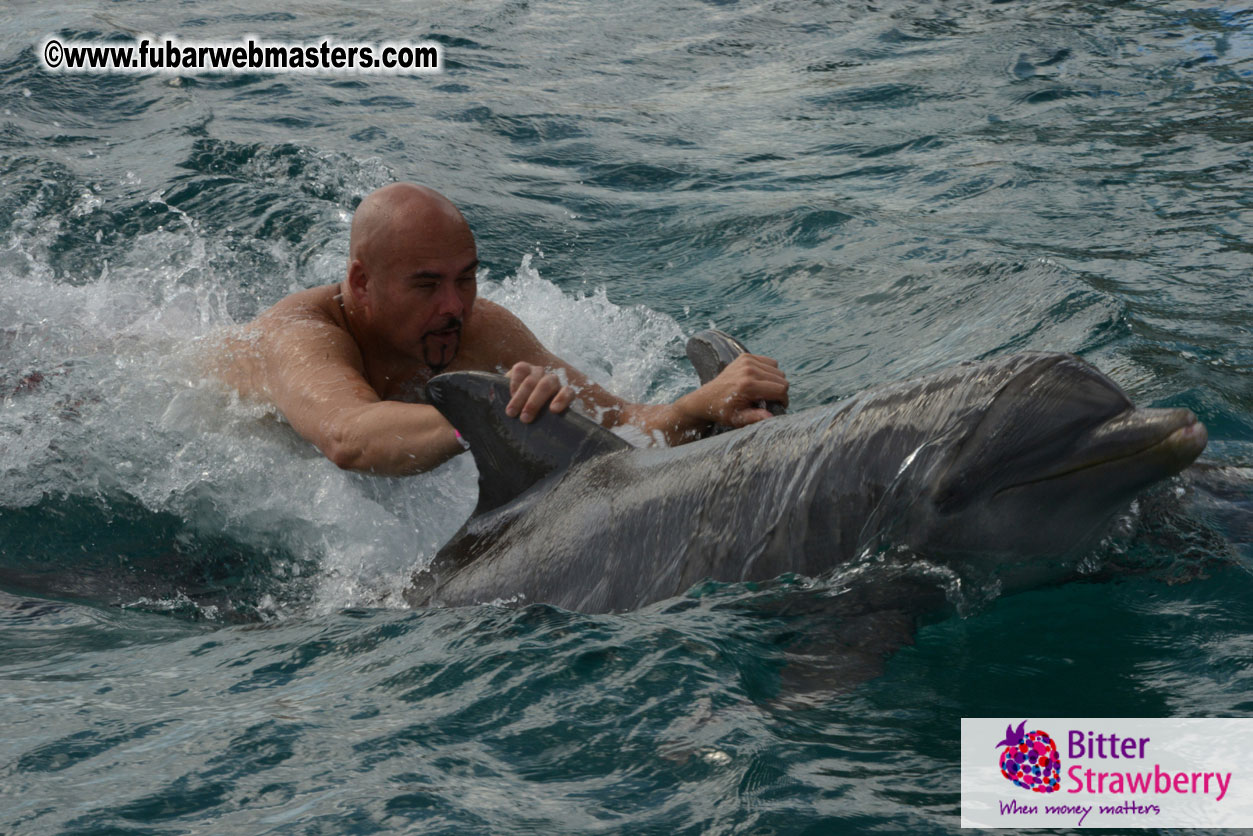 WireCard Dolphin Swim