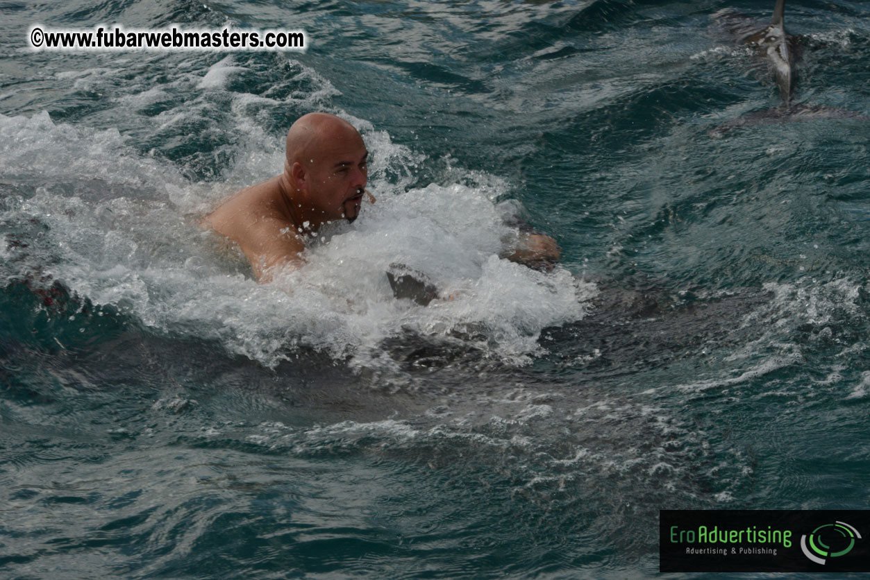 WireCard Dolphin Swim