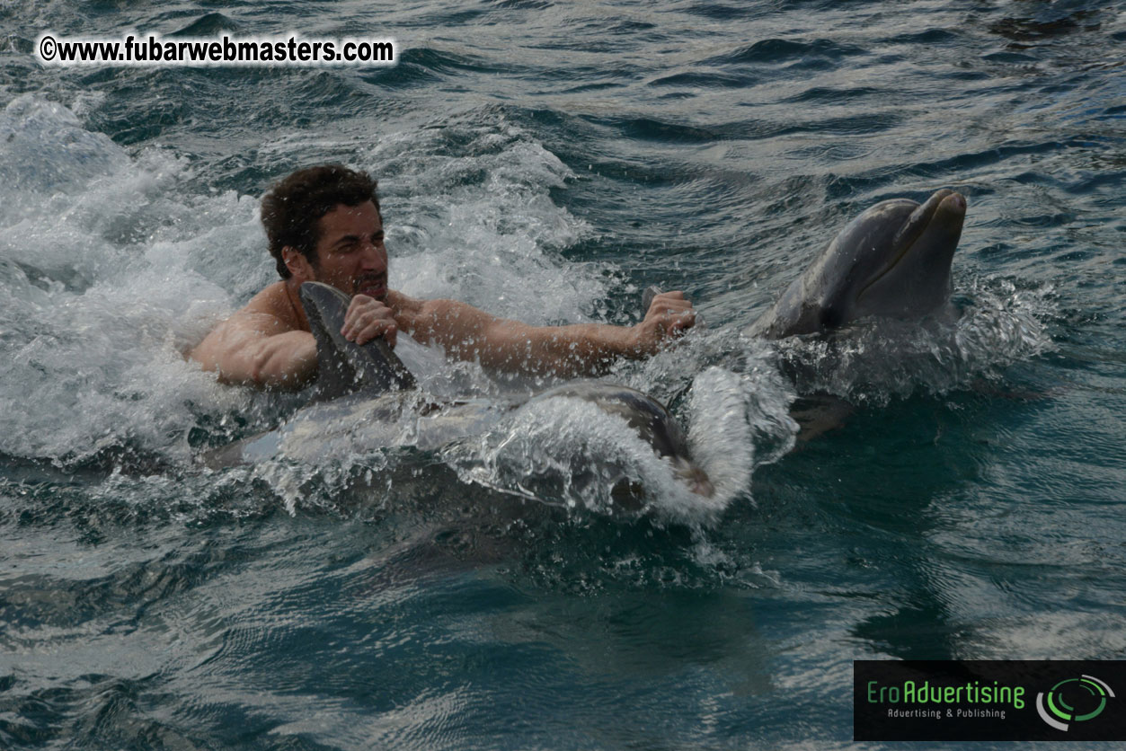 WireCard Dolphin Swim