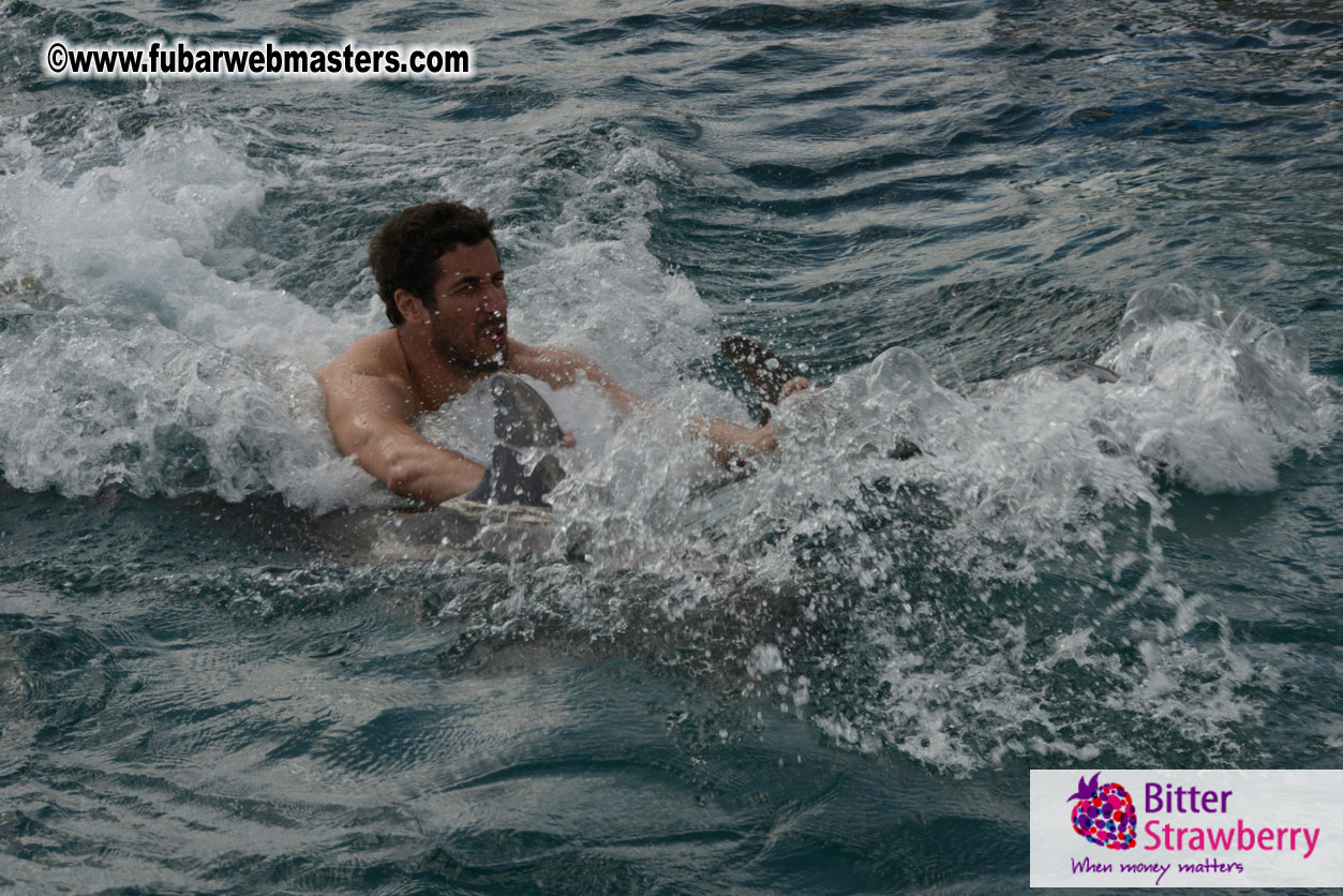 WireCard Dolphin Swim