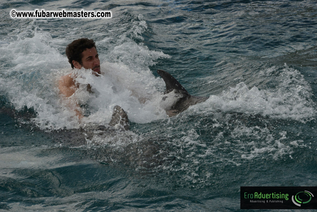 WireCard Dolphin Swim