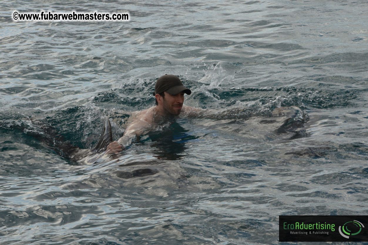 WireCard Dolphin Swim