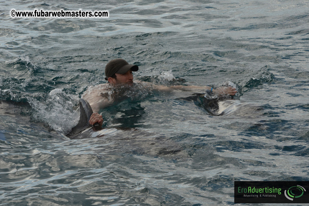 WireCard Dolphin Swim