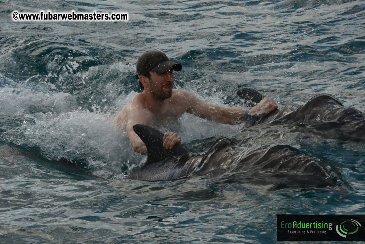 WireCard Dolphin Swim