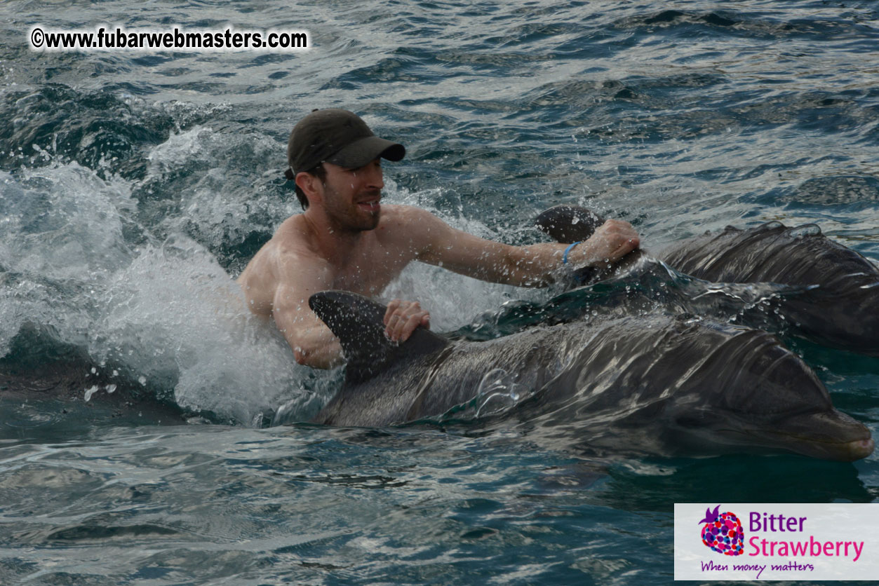 WireCard Dolphin Swim