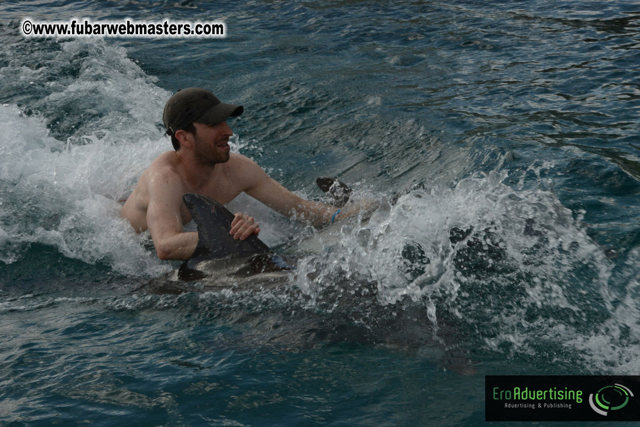 WireCard Dolphin Swim