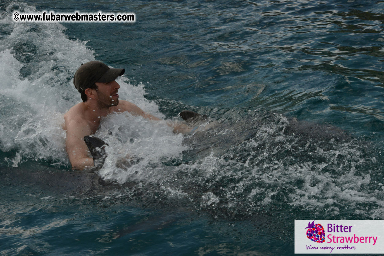 WireCard Dolphin Swim