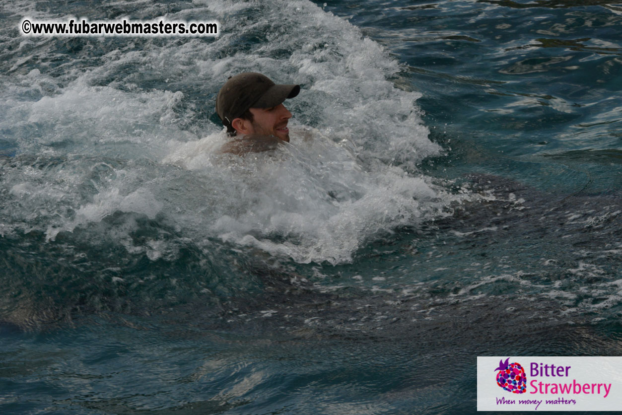 WireCard Dolphin Swim