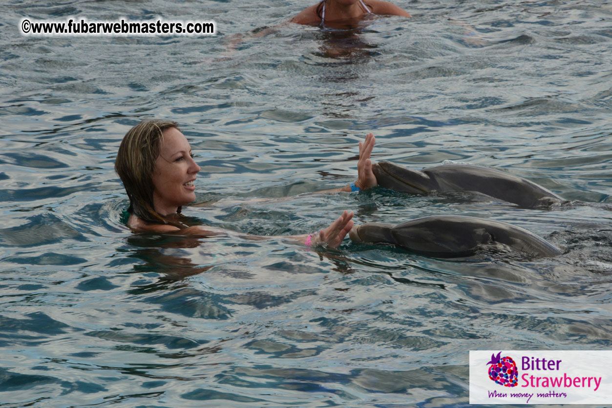 WireCard Dolphin Swim