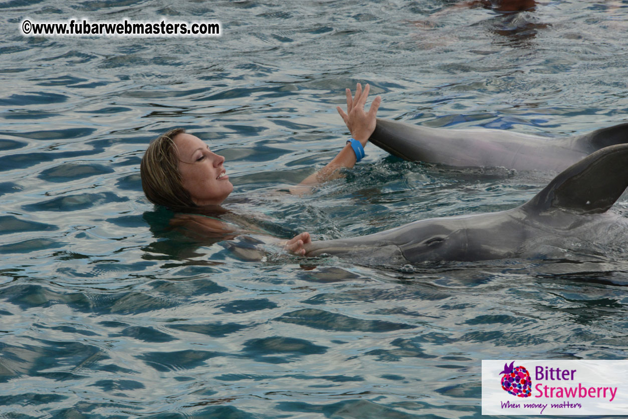 WireCard Dolphin Swim