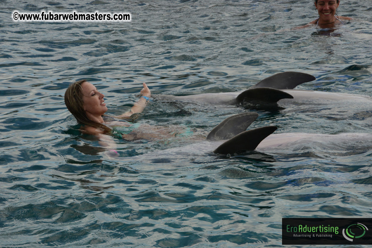 WireCard Dolphin Swim